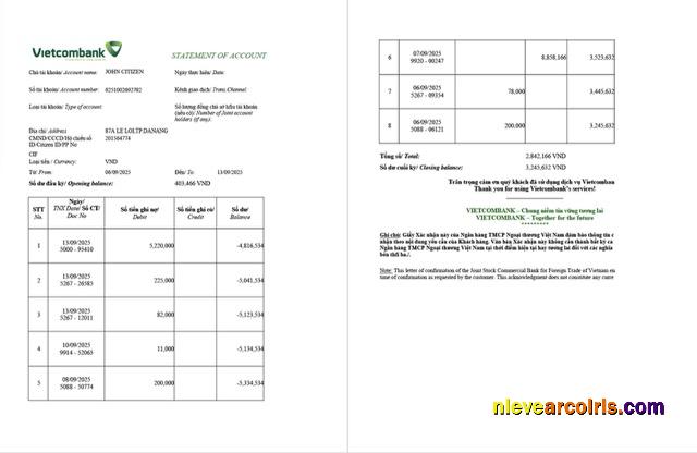 Vietnam Vietcombank statement of account Word and PDF, 2 pages